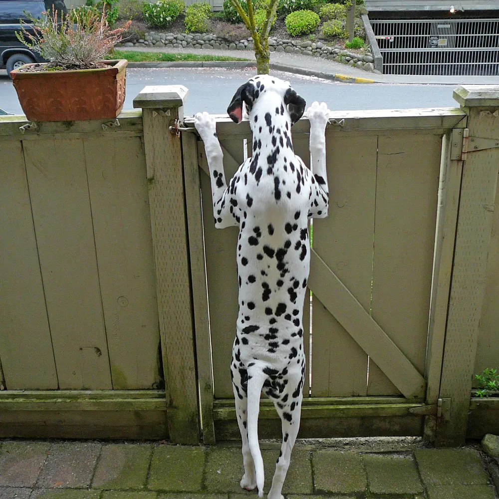 bc-coastal.bsky.social's profile picture