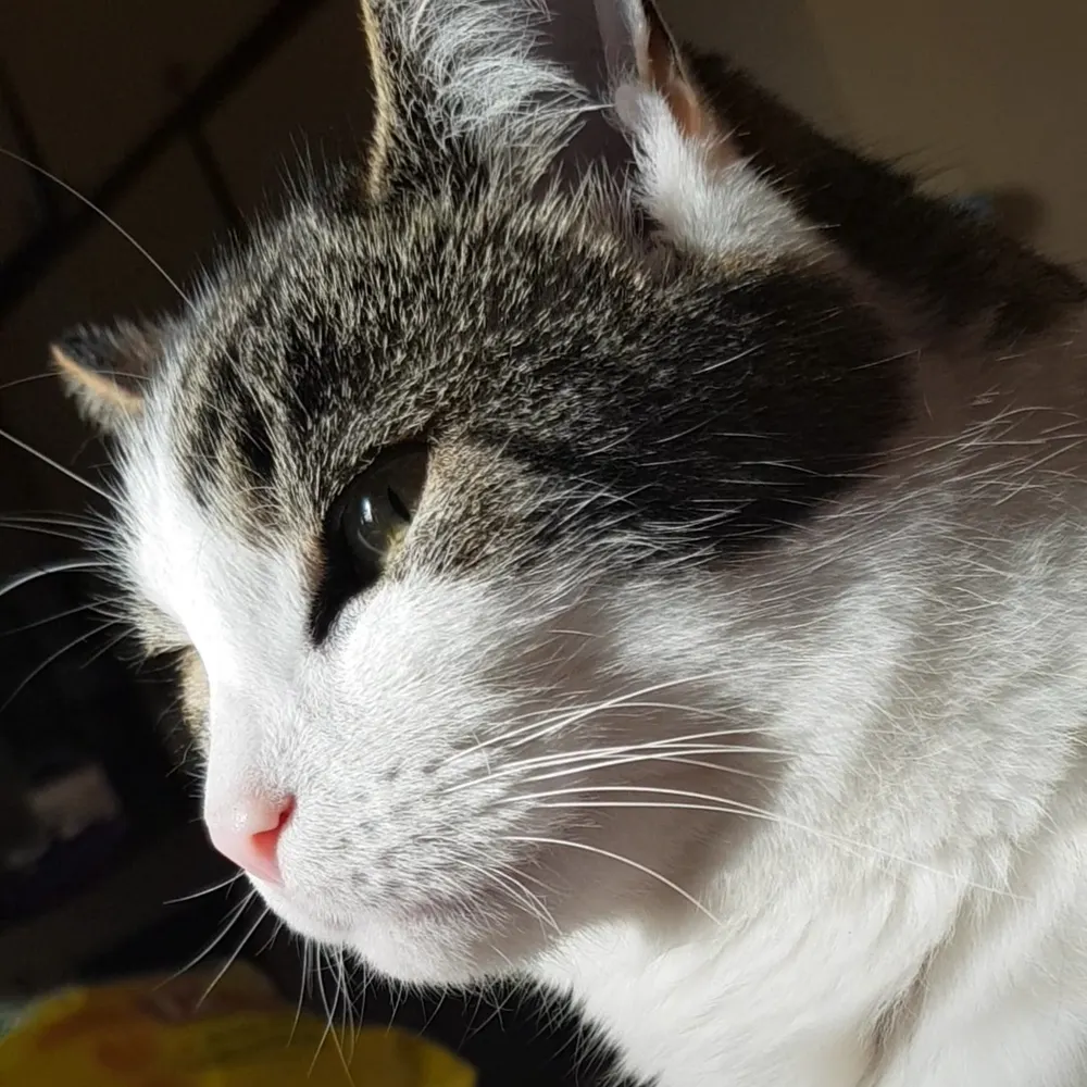 areyoucertain.bsky.social's profile picture