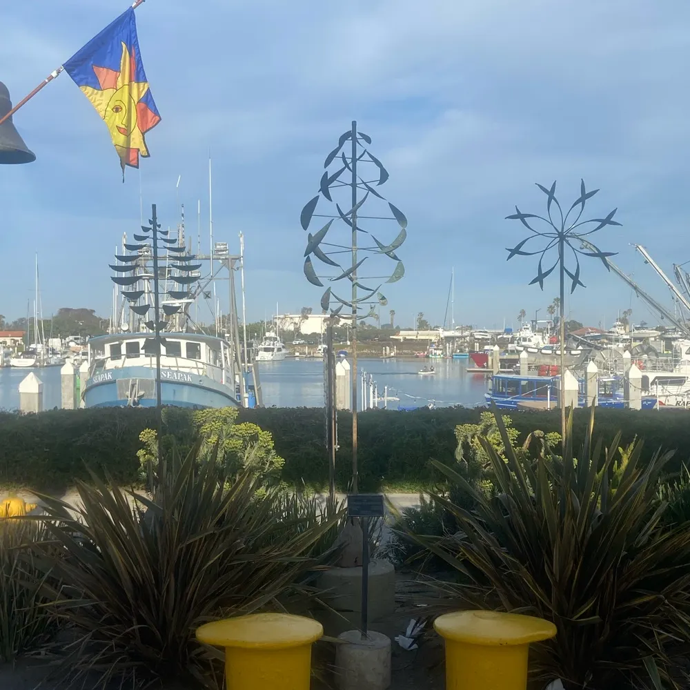 plumeriashellbird.bsky.social's profile picture