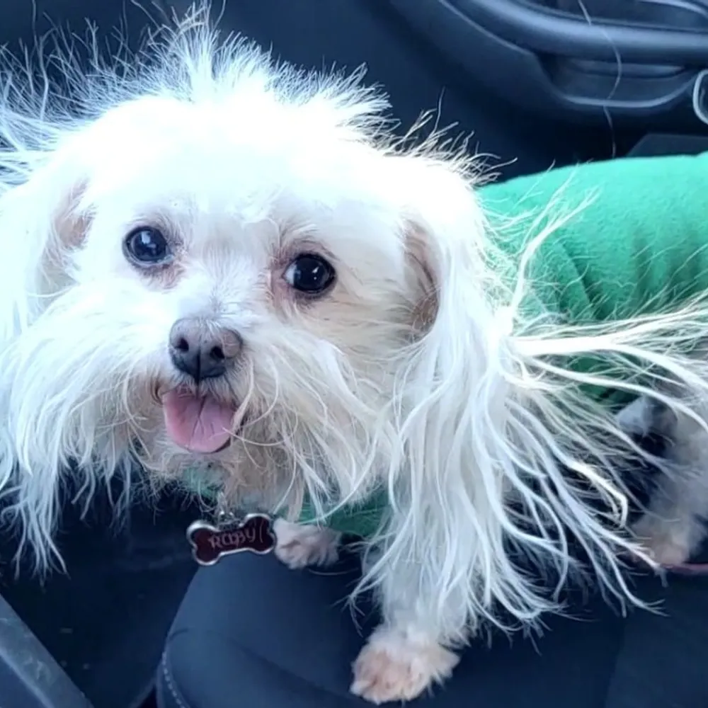 borubyarlo.bsky.social's profile picture