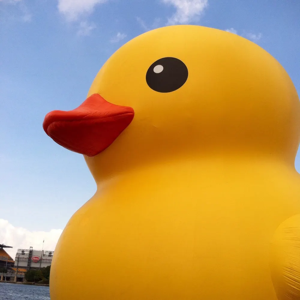 natfan9.bsky.social's profile picture