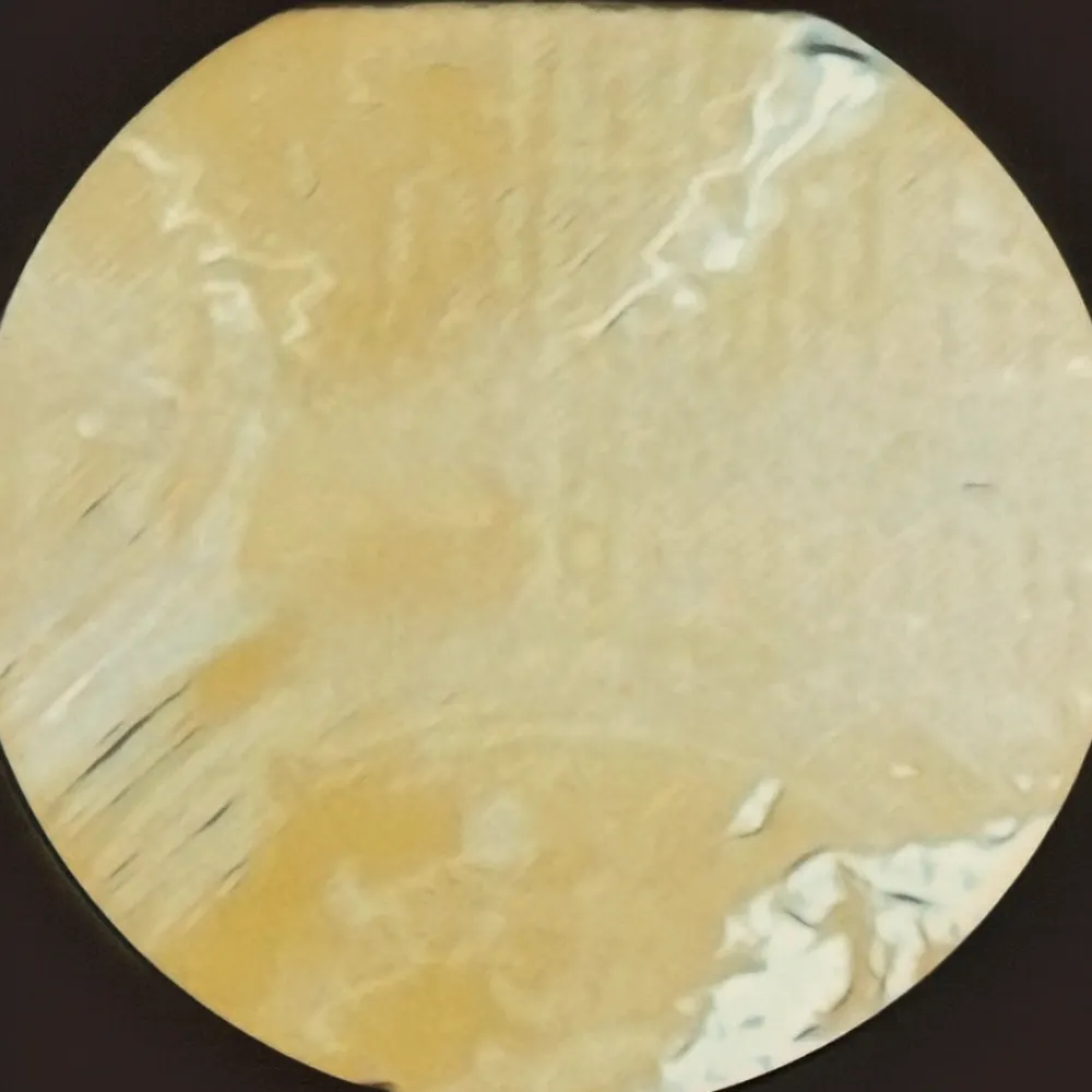 trousse.bsky.social's profile picture