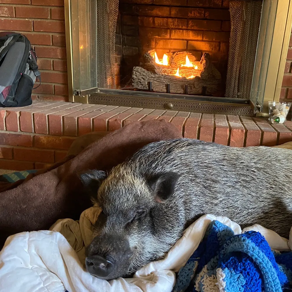 gradymac.bsky.social's profile picture