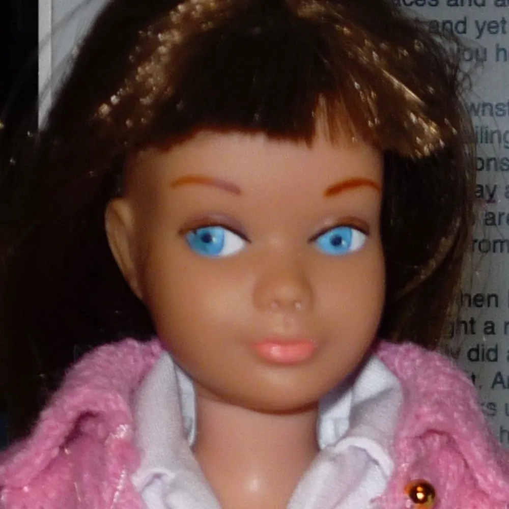 virginiaopossum.bsky.social's profile picture