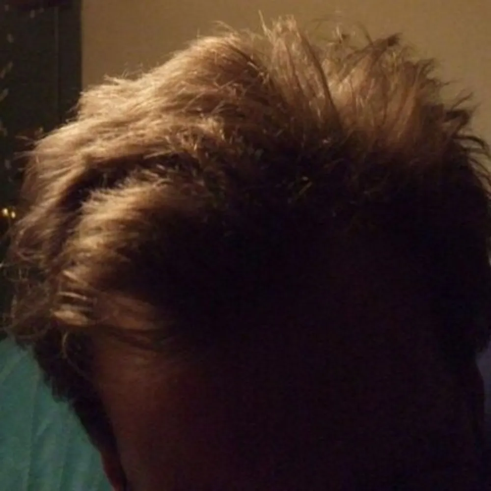 o-c.bsky.social's profile picture