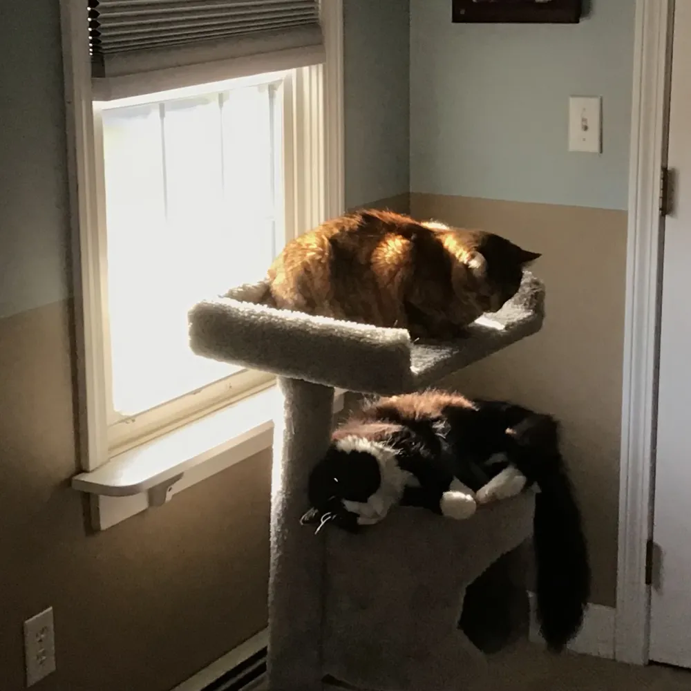 demsrgone.bsky.social's profile picture