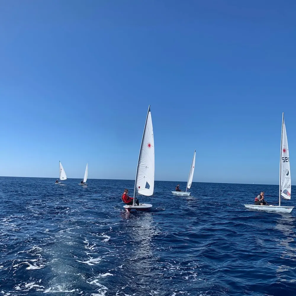 samcartwright.bsky.social's profile picture