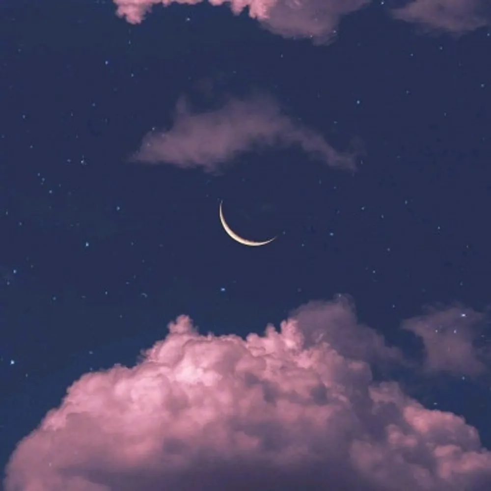 j8bird.bsky.social's profile picture