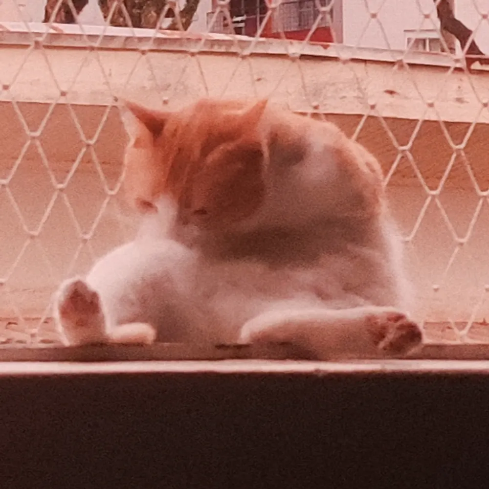 yexx.dev's profile picture