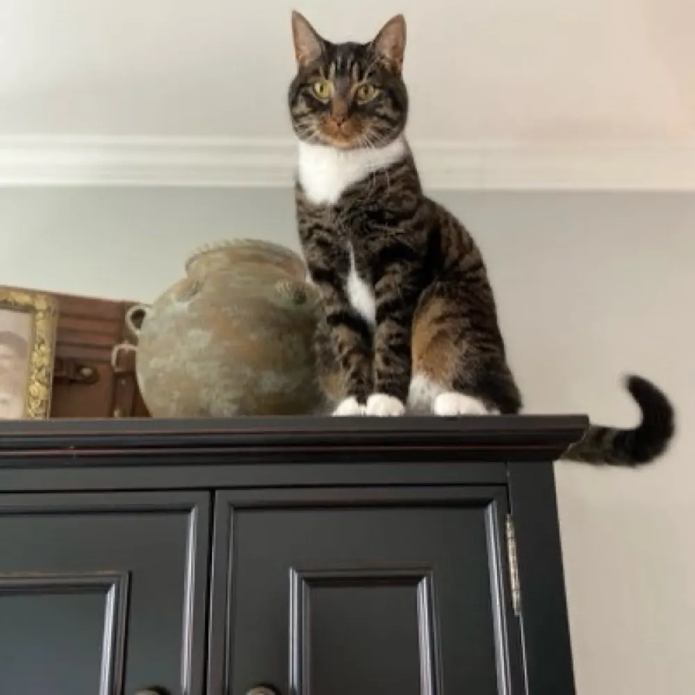 bailey1050.bsky.social's profile picture