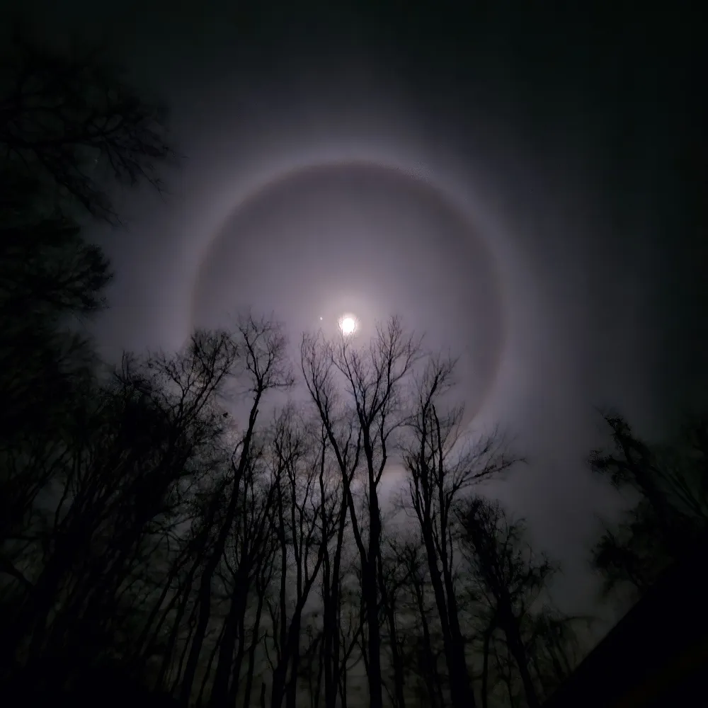 jad73.bsky.social's profile picture