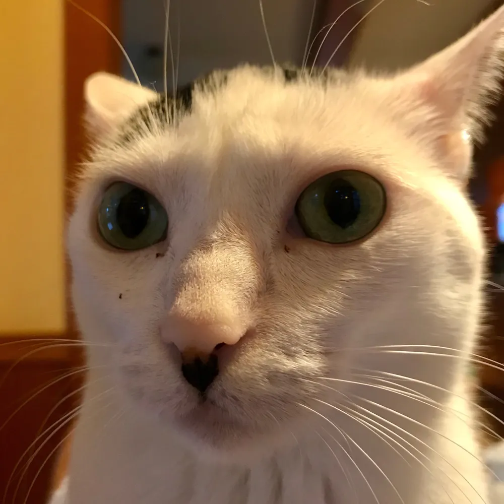 studecyclist.bsky.social's profile picture