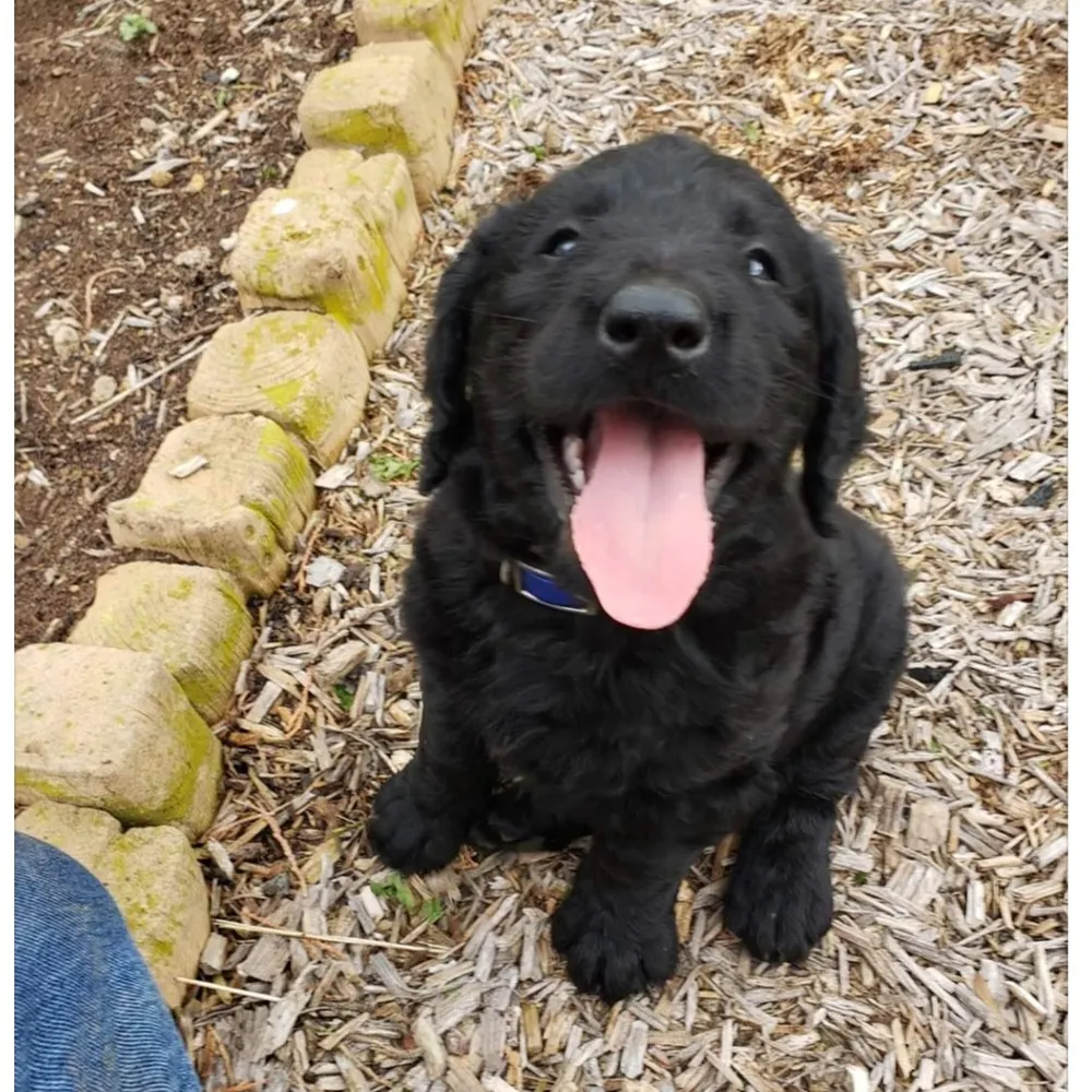 twoifbyland.bsky.social's profile picture