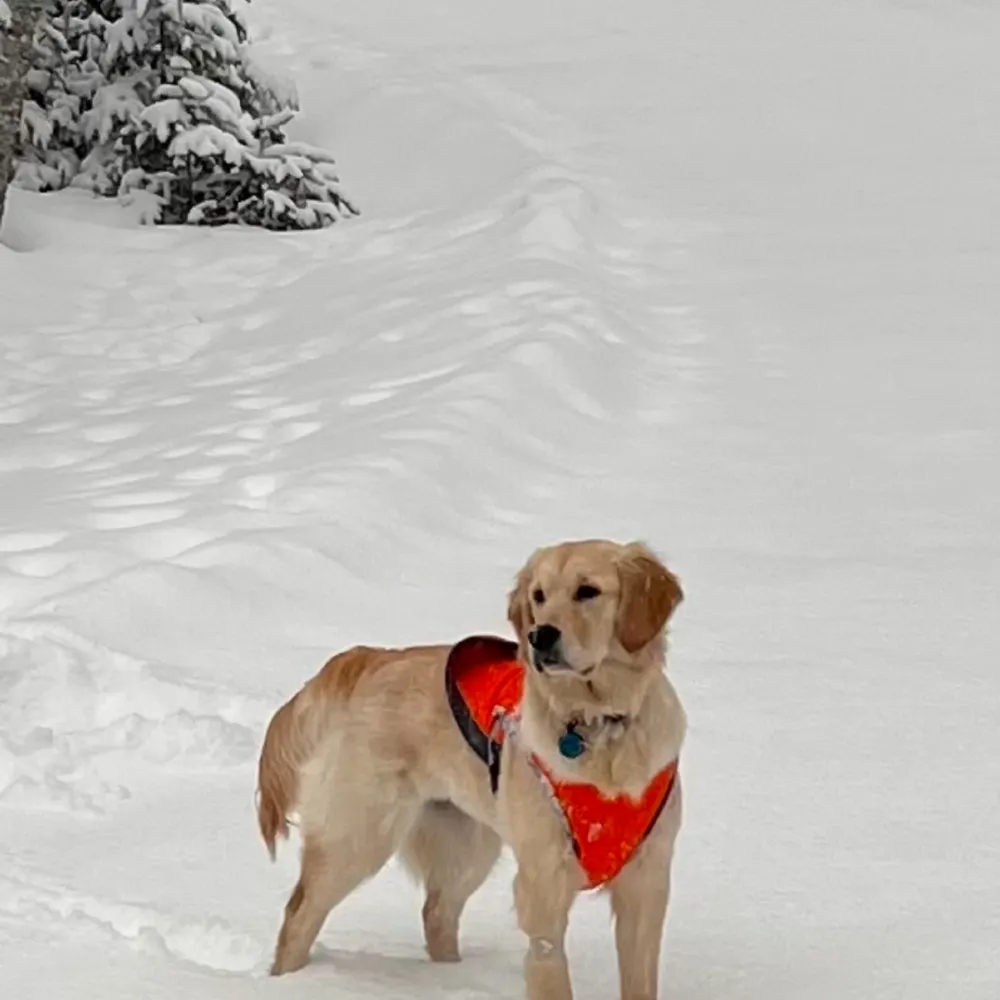 ccole2025.bsky.social's profile picture