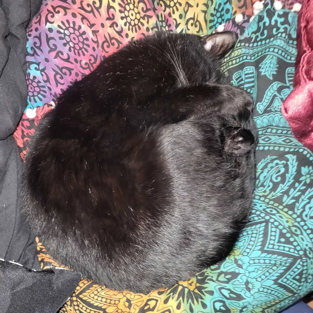 bfscr.bsky.social's profile picture