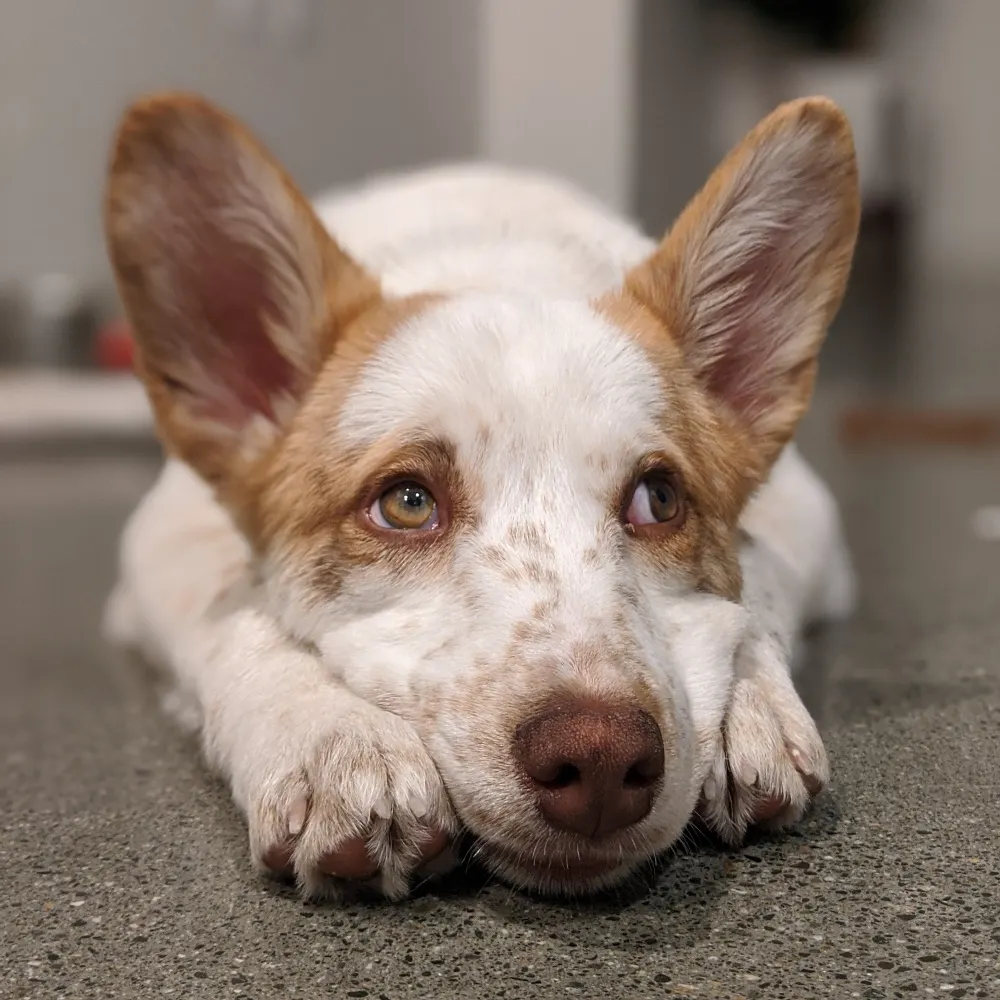 1984georgeorwell.bsky.social's profile picture