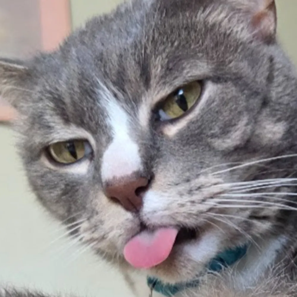 willowminder.bsky.social's profile picture