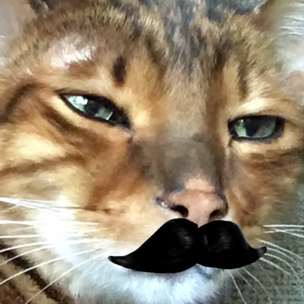 mctrmt.bsky.social's profile picture