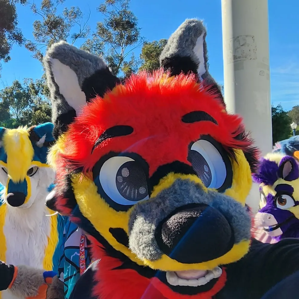 atchi.bsky.social's profile picture