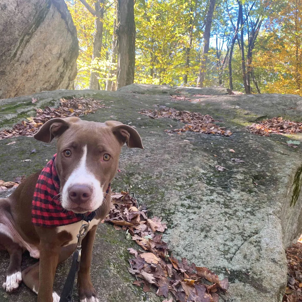 daves211.bsky.social's profile picture