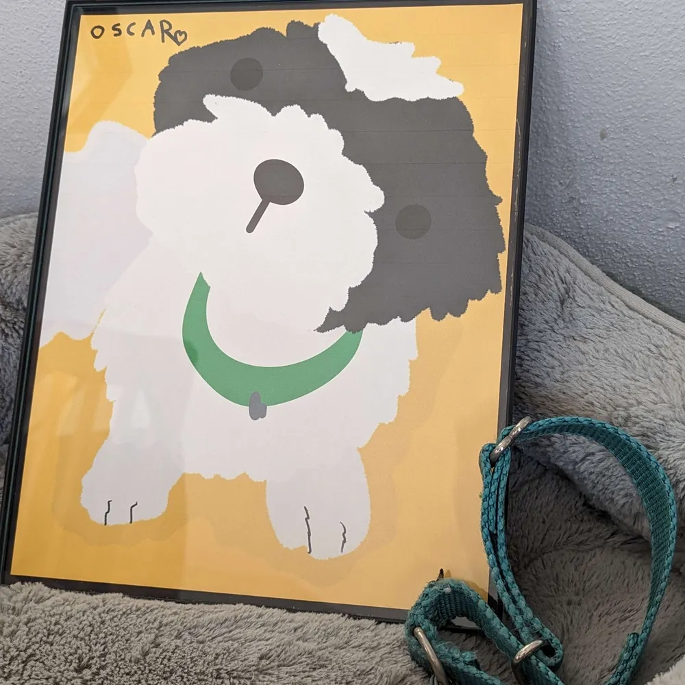 ontopofit4.bsky.social's profile picture