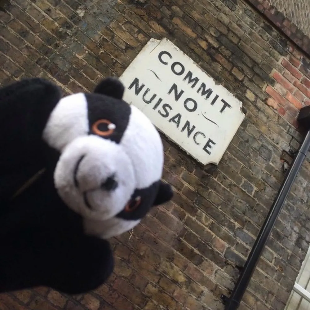 terrawuzhere.bsky.social's profile picture