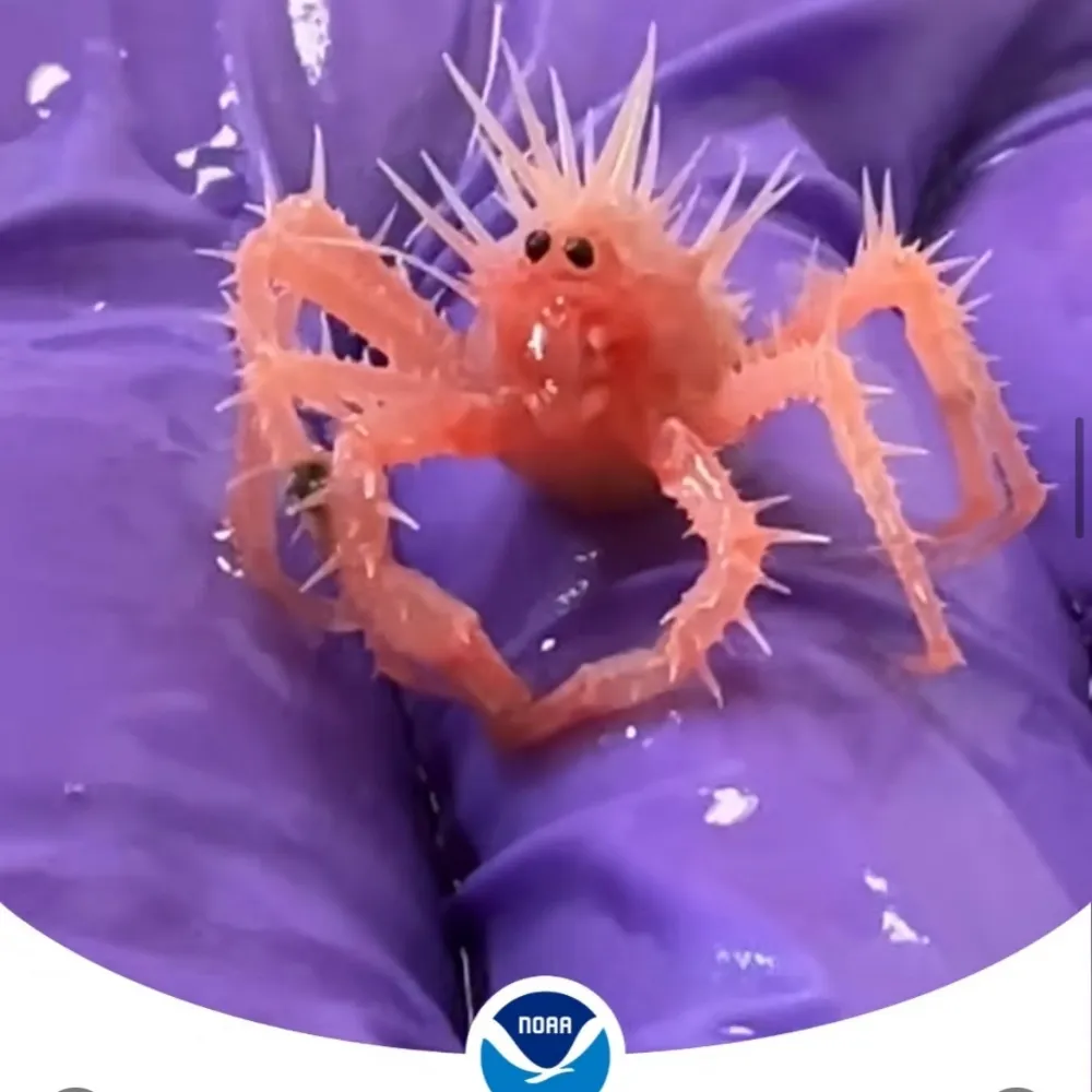 trdowden2.bsky.social's profile picture