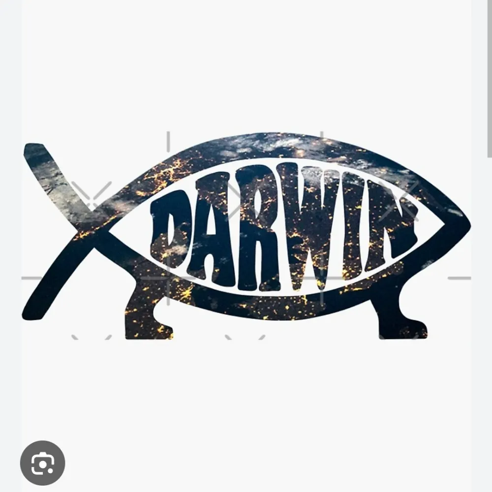 anhell71.bsky.social's profile picture