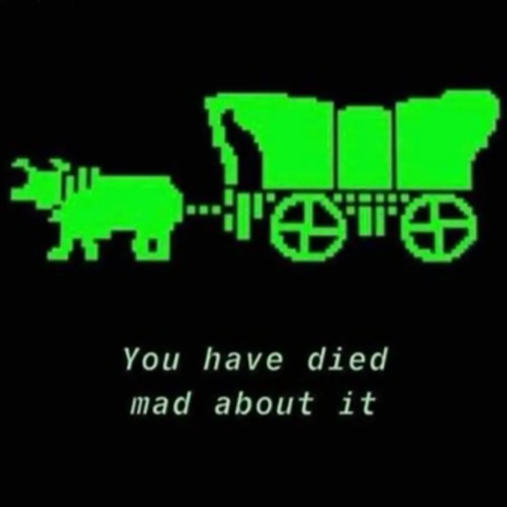 salamitaktiker.bsky.social's profile picture