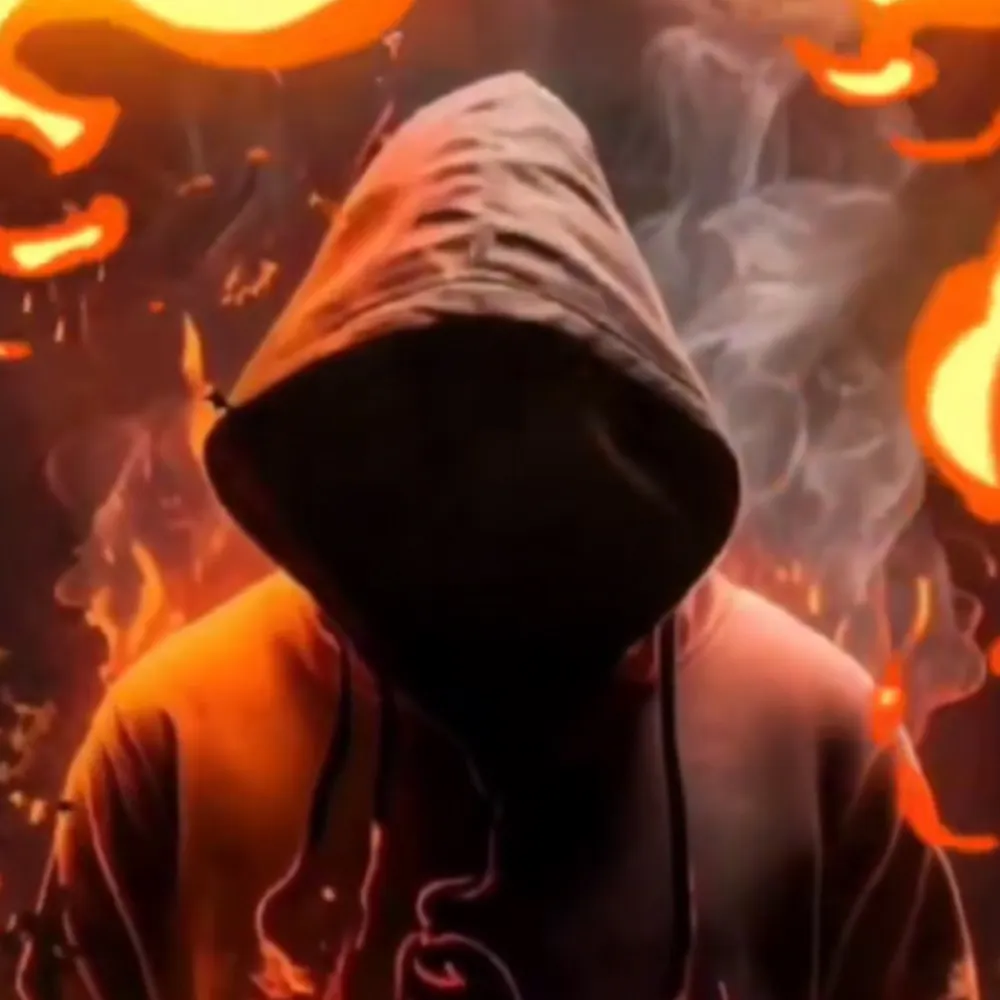 thebournedemocracy.bsky.social's profile picture