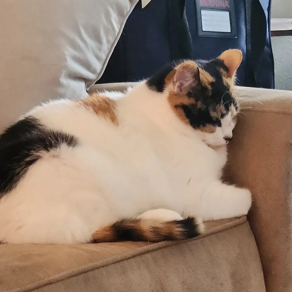 prairie-kass.bsky.social's profile picture