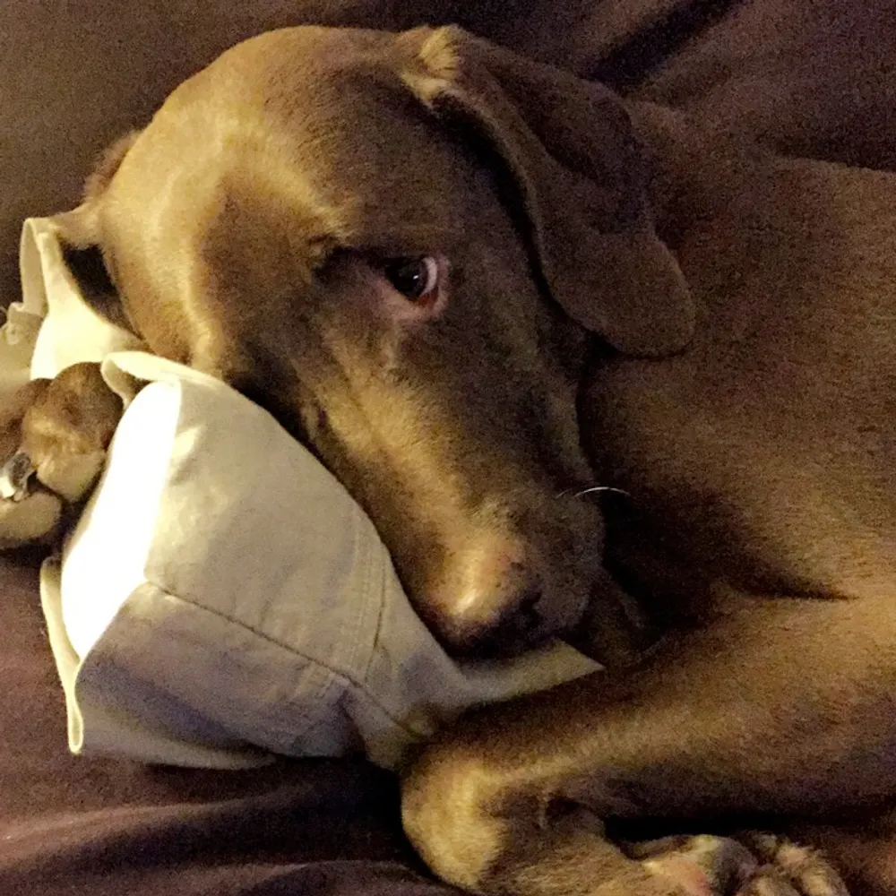 jewels1961.bsky.social's profile picture