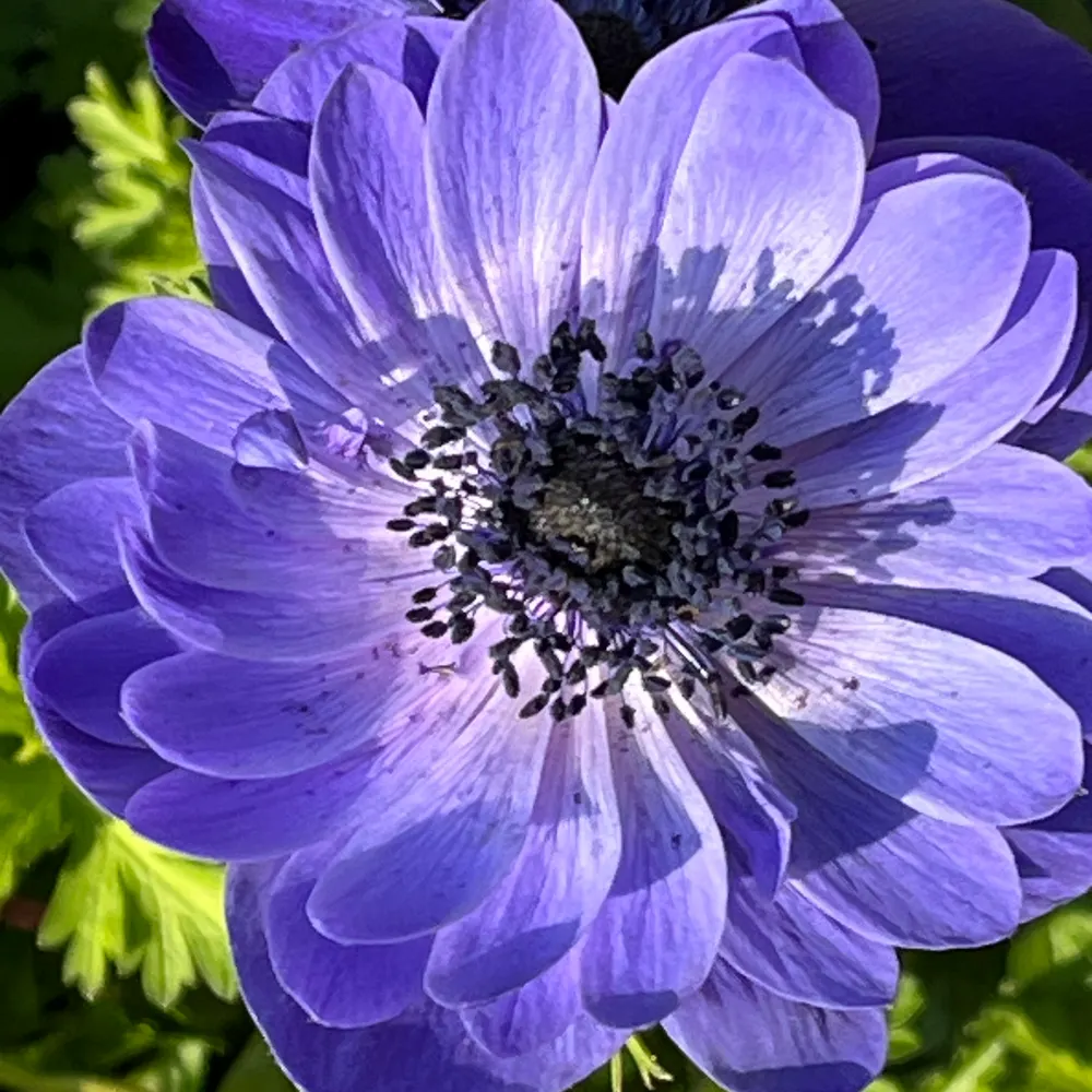 jilly3.bsky.social's profile picture