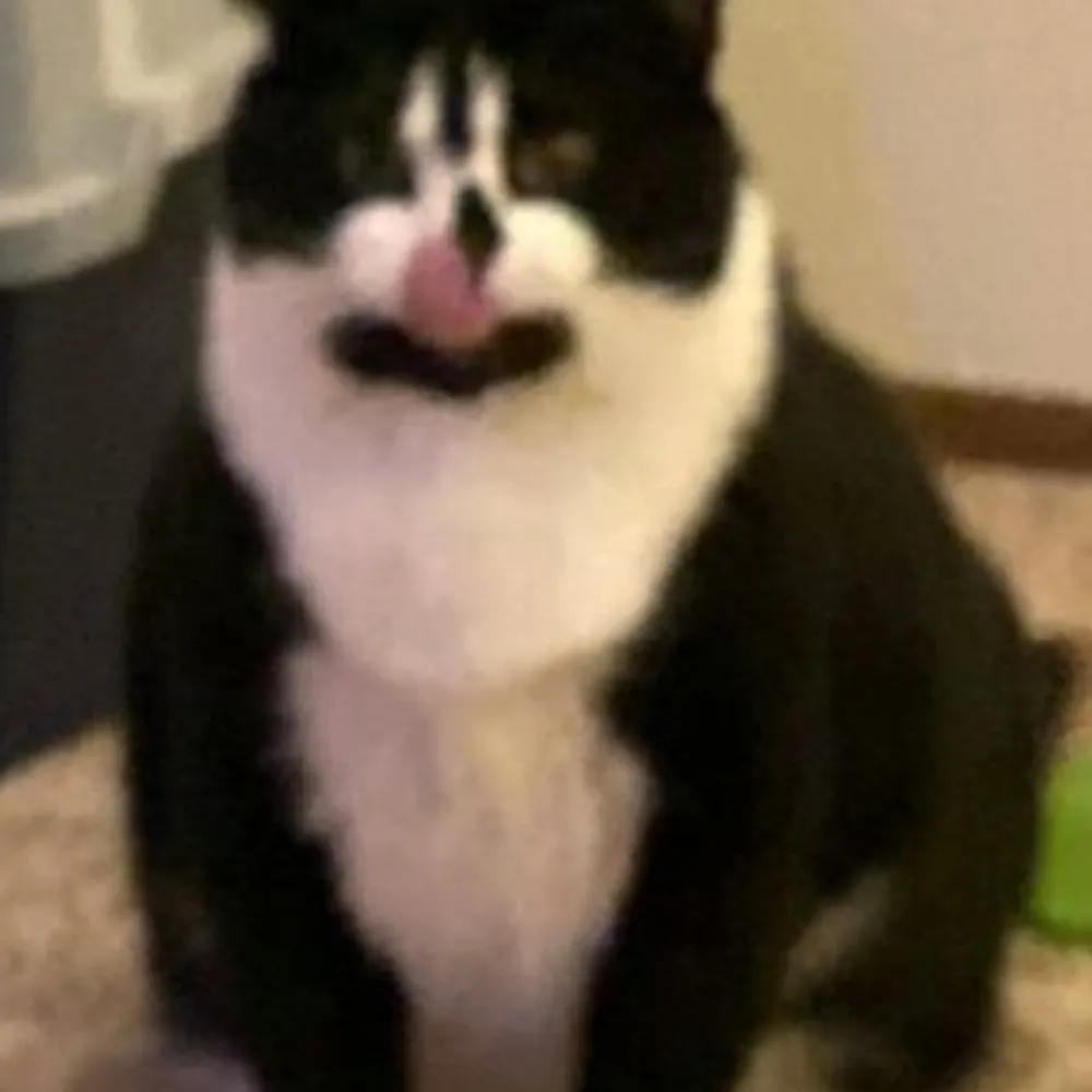 wetasspword.bsky.social's profile picture