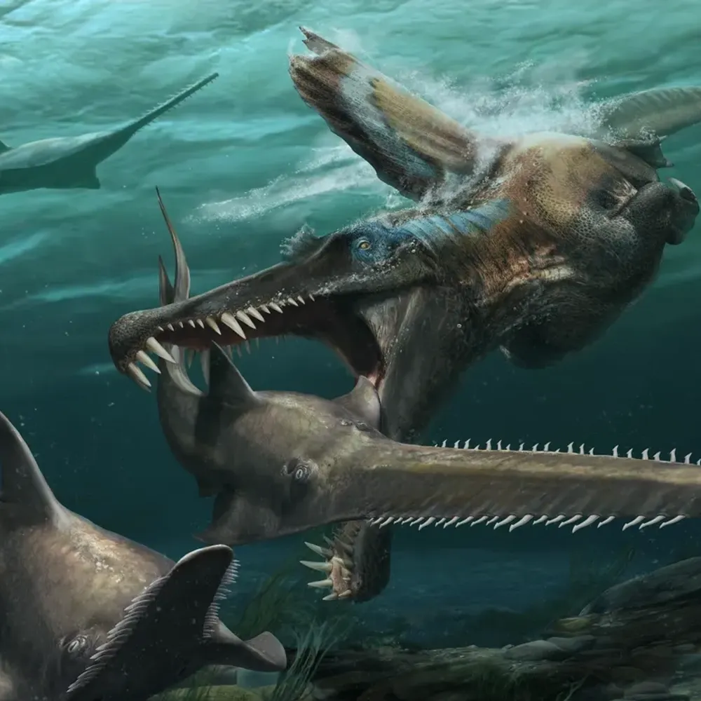 nerdyspinosaurid.bsky.social's profile picture