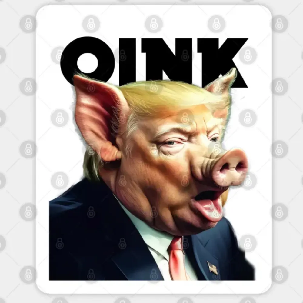 dondrump.bsky.social's profile picture