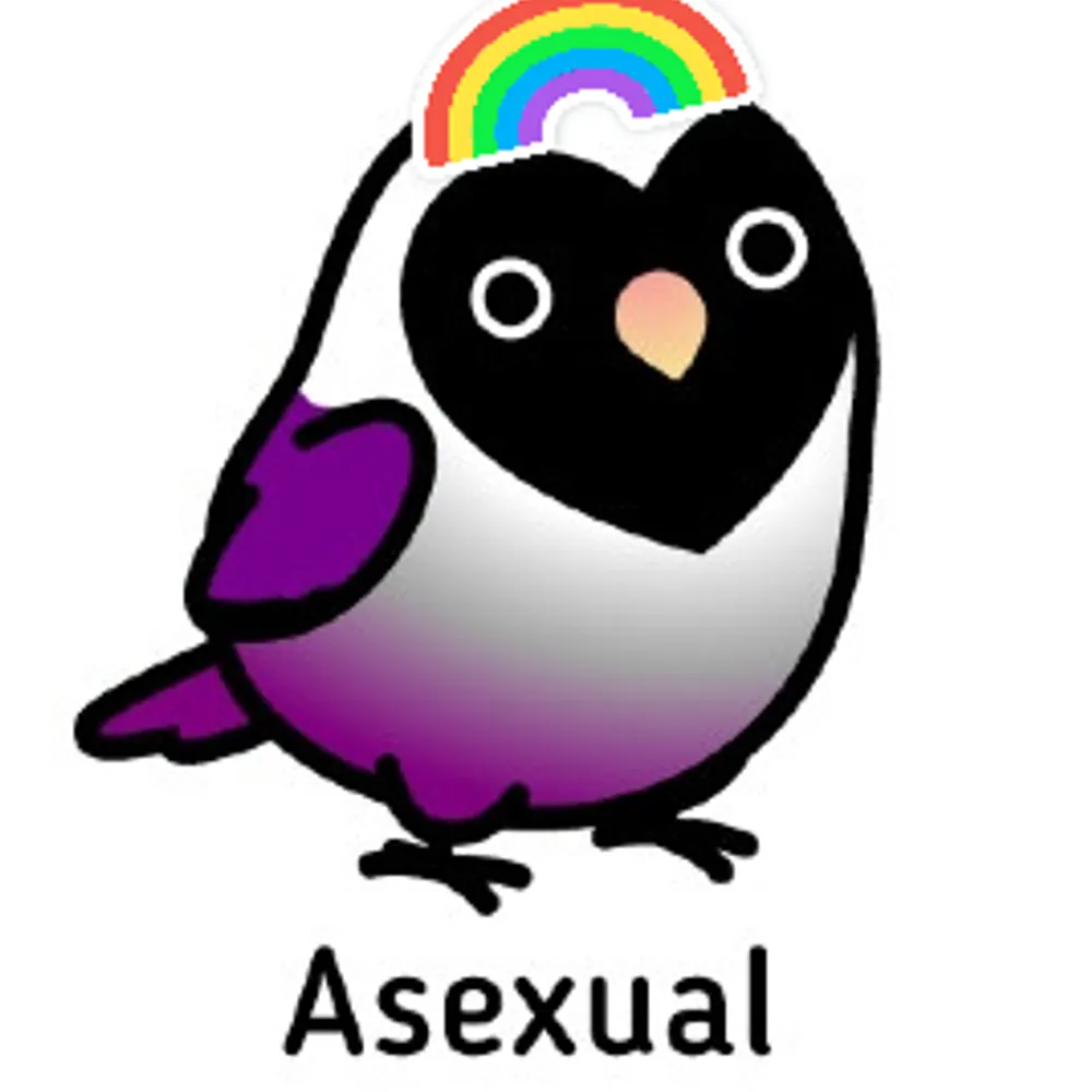 halomccoy.bsky.social's profile picture