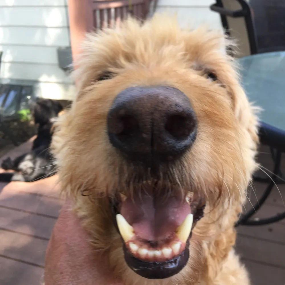 orbit56.bsky.social's profile picture