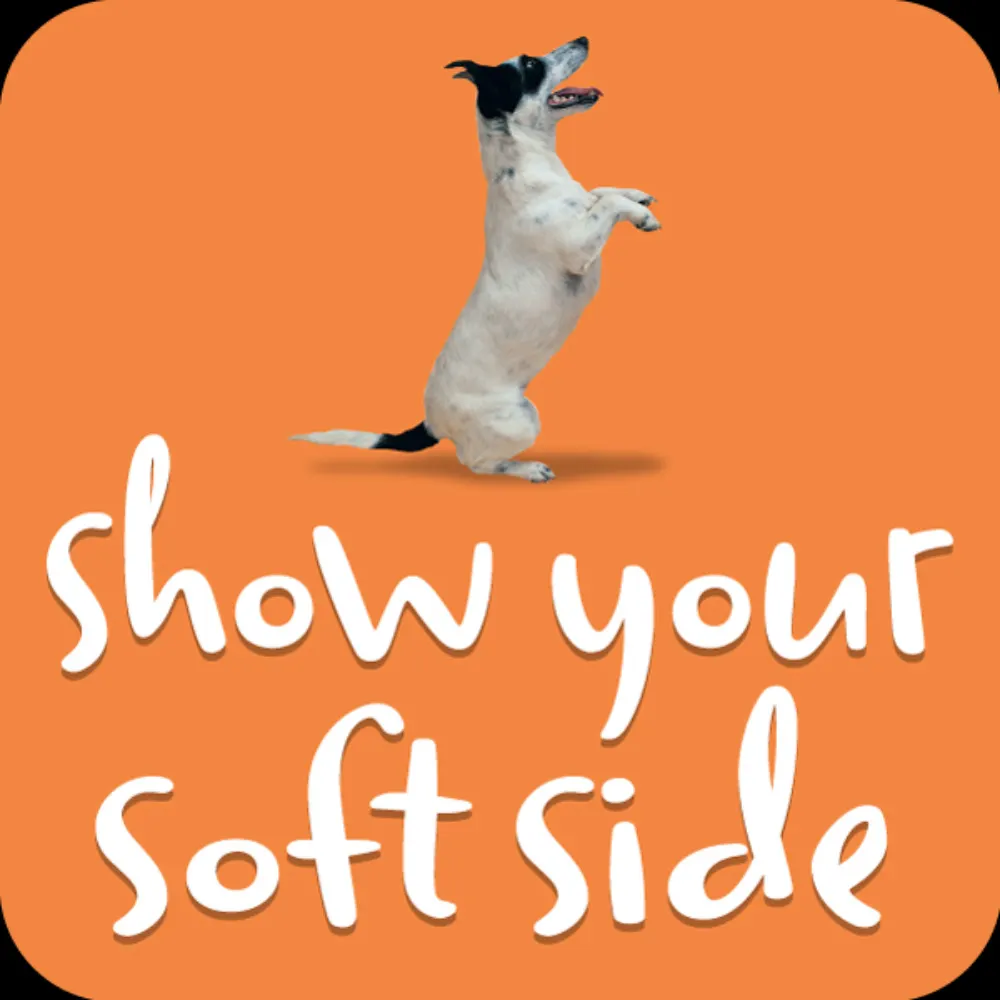 softside.bsky.social's profile picture