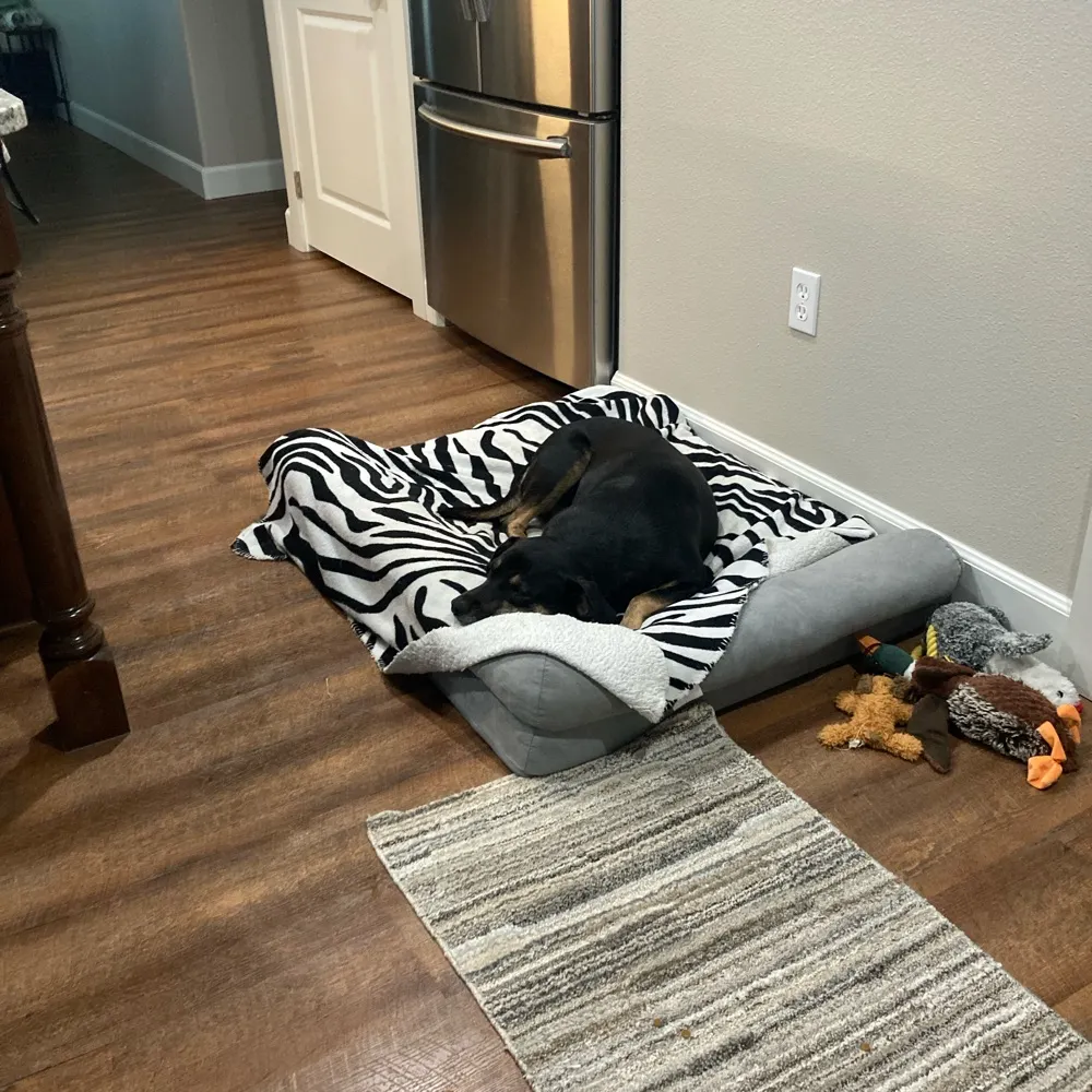 cjomolly.bsky.social's profile picture