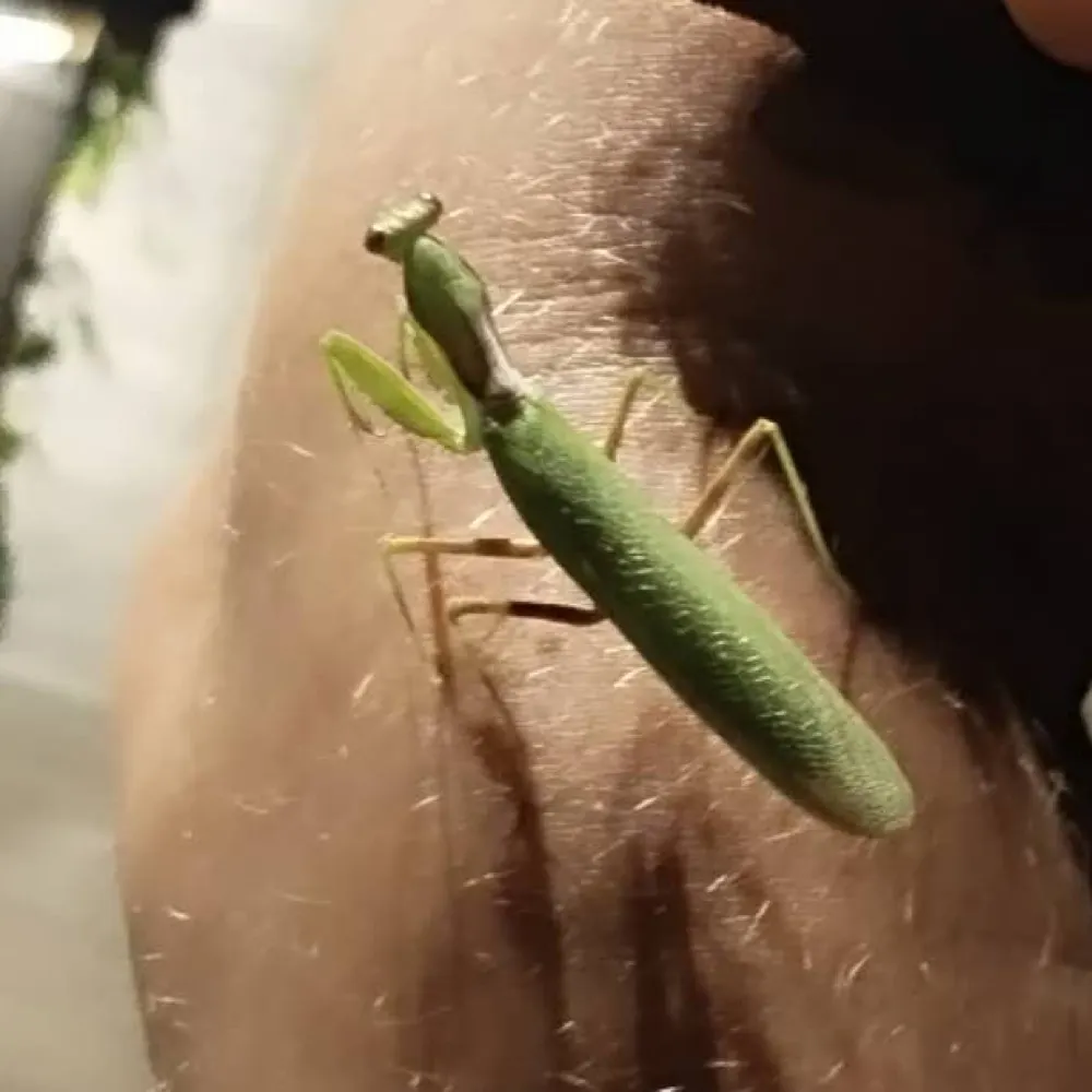 peterandree.bsky.social's profile picture