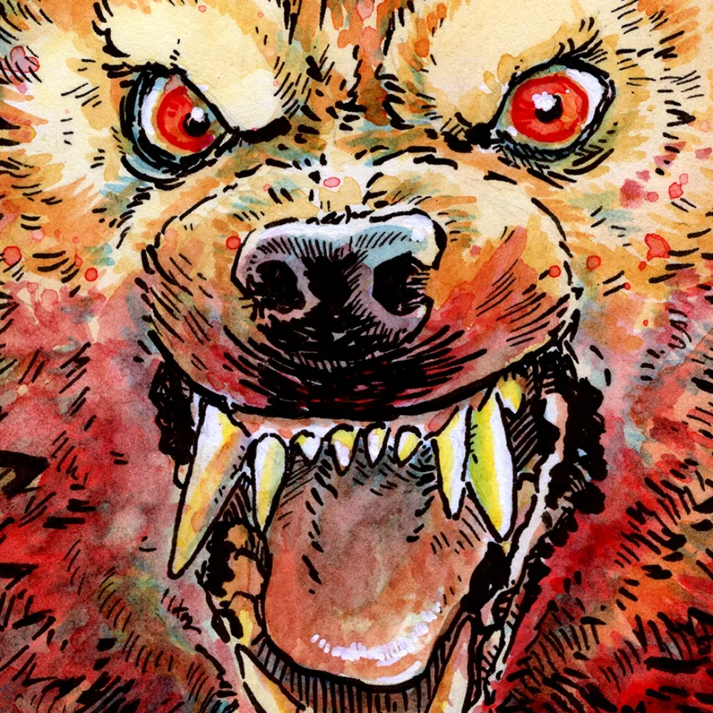 mxmorgan.com's profile picture