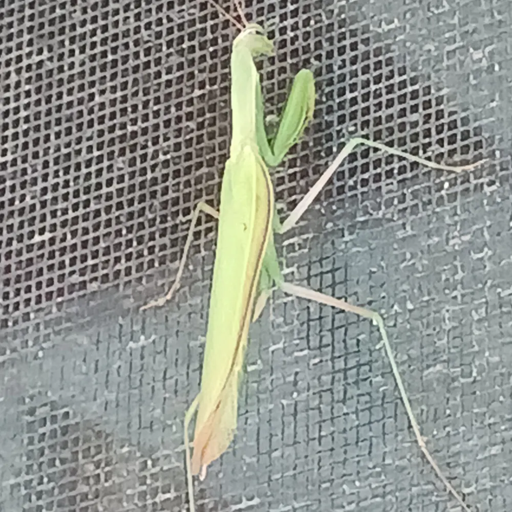 lorddarner.bsky.social's profile picture