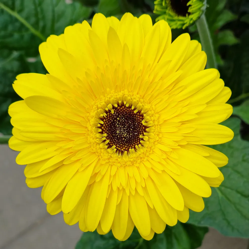 mikebwhhte.bsky.social's profile picture