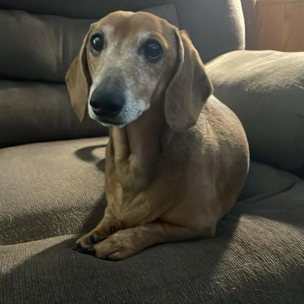 cjs11.bsky.social's profile picture