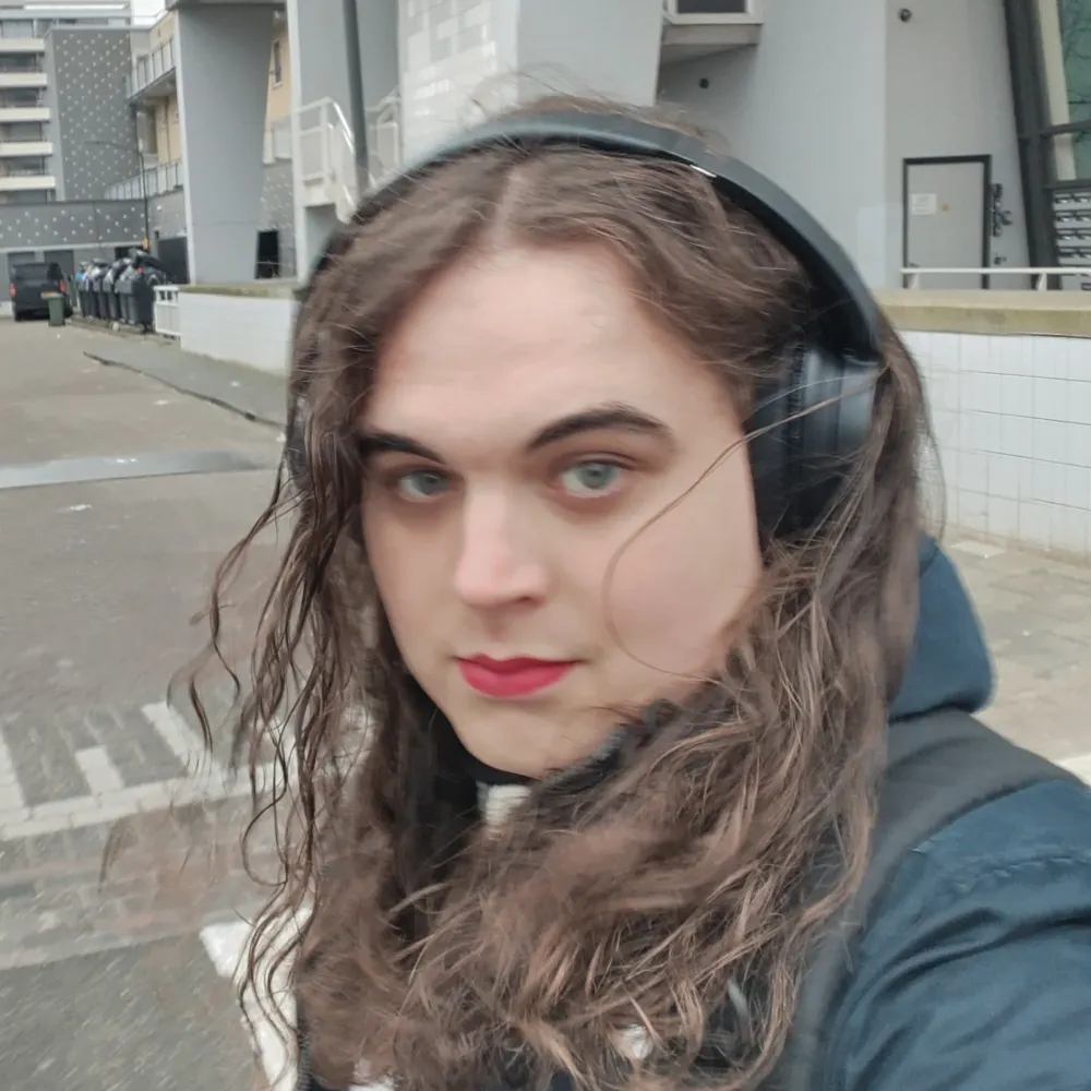 nienke96.bsky.social's profile picture