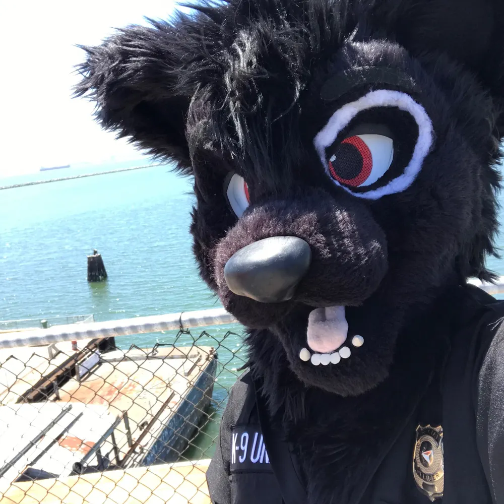 senecashepherd.bsky.social's profile picture