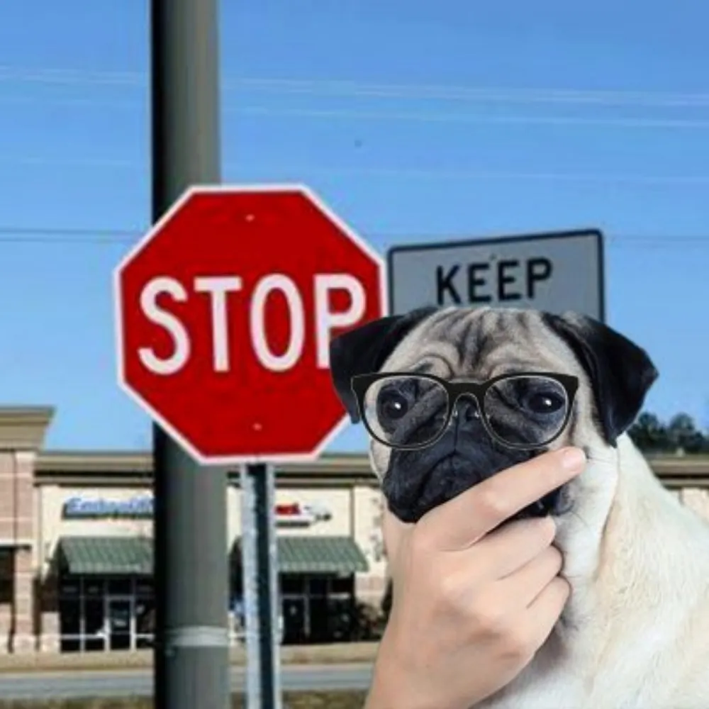 datnofact.bsky.social's profile picture