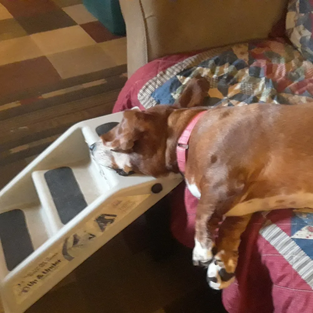 minutello1.bsky.social's profile picture