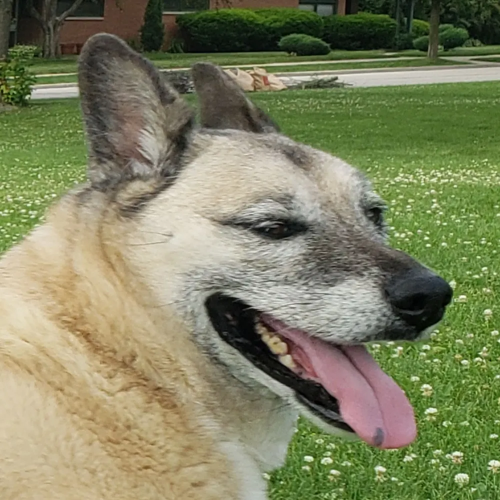 plungerman.bsky.social's profile picture